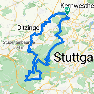 Katzenbacher Hof, Solitude, Grüner Heiner