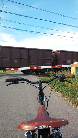 Hebe Bild 6 entlang der Bikemap-Route "P. Nowy Świat" hervor