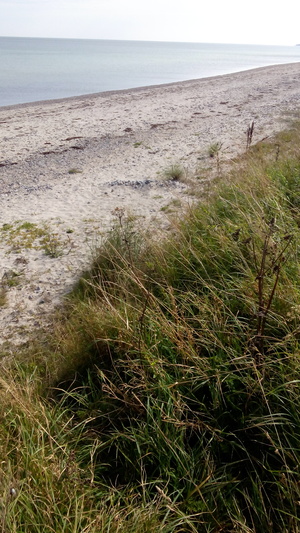 Highlight 4 along the Bikemap route "150904"