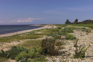 Punto saliente 3 lungo il percorso Bikemap "12_Hohwacht – Heiligenhafen – Burg auf Fehmarn"