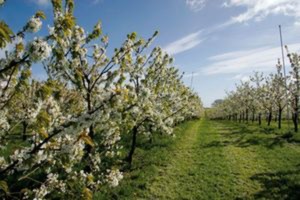 Point fort 3 sur l’itinéraire Bikemap « 14_Rendsburg – Sehestedt »