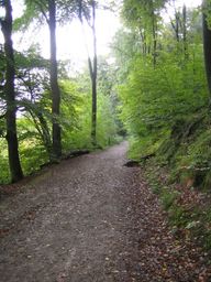 Punto saliente 1 lungo il percorso Bikemap "4x DownHill zw. Neandertal und Ddorf Gerresheim (Fortgeschritten)" Punto saliente 1 lungo il percorso Bikemap "4x DownHill zw. Neandertal und Ddorf Gerresheim (Fortgeschritten)"