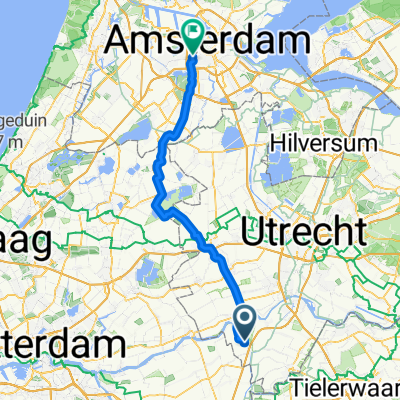 hollandus d2