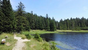 Punto saliente 3 lungo il percorso Bikemap "Črno jezero"