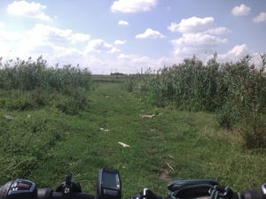 Highlight 3 along the Bikemap route "Lacul Mogosoaia"