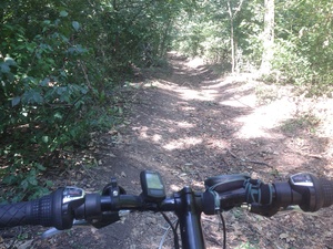 Highlight 1 along the Bikemap route "Lacul Mogosoaia"
