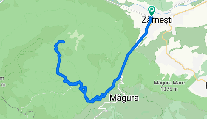 Tura Zarnesti - Prapastii - Cabana Curmatura (dus-intors)