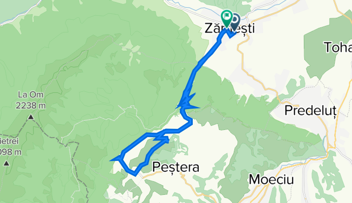 Tura bicicleta Zarnest - Magura