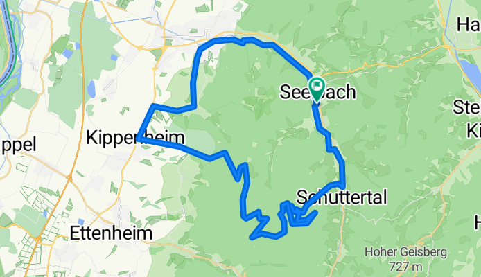 Seelbach - Kippenheim / Wald