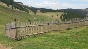 Highlight 1 along the Bikemap route "Padis-catunul Casa de Piatra-Calineasa-Platoul Padis"