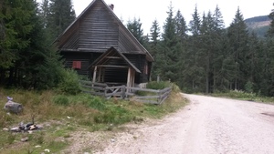 Highlight 10 along the Bikemap route "Padis-catunul Casa de Piatra-Calineasa-Platoul Padis"