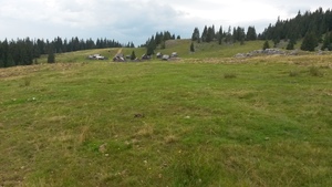 Highlight 8 along the Bikemap route "Padis-catunul Casa de Piatra-Calineasa-Platoul Padis"