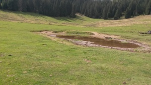 Highlight 2 along the Bikemap route "Padis-catunul Casa de Piatra-Calineasa-Platoul Padis"