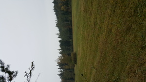 Hebe Bild 1 entlang der Bikemap-Route "Recording from 17 de Outubro, 14:18" hervor