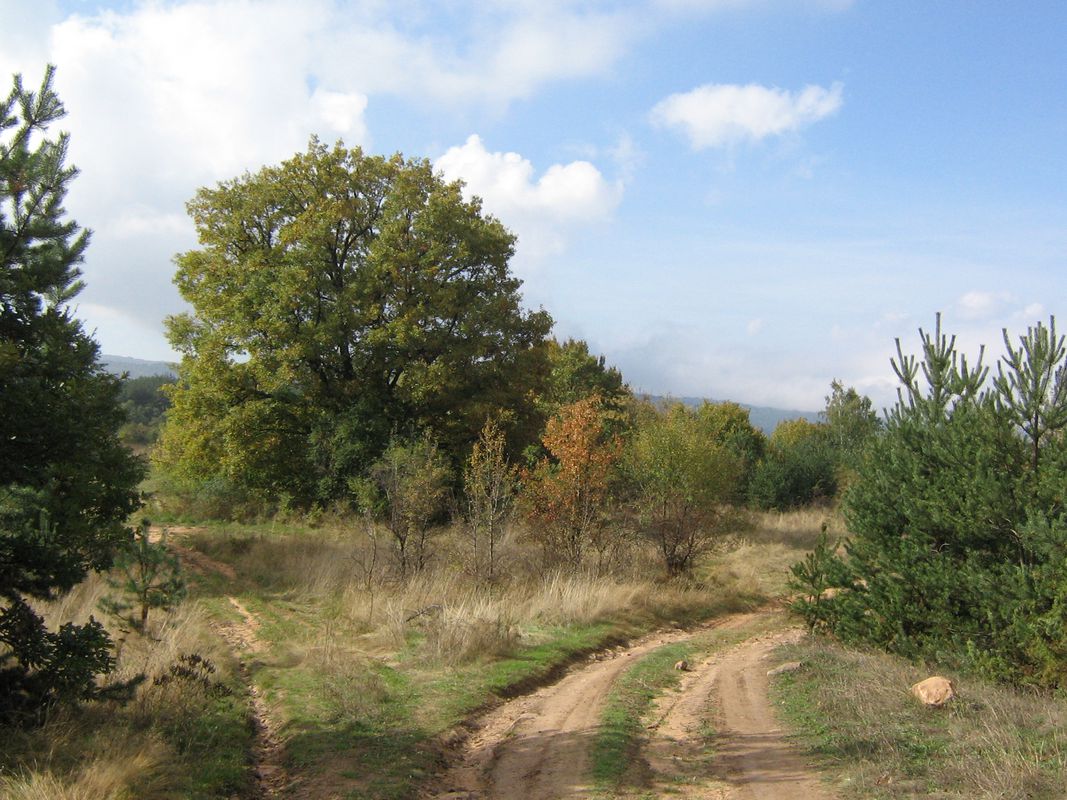Д. Пасарел - Св. Петка - яз. Пасарел