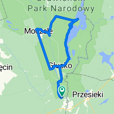 DPN- Moczele