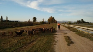 Highlight 2 along the Bikemap route "Recording from October 21, 17:38"