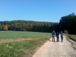 Hebe Bild 1 entlang der Bikemap-Route "Wanderung Paulinen- Karolinenturm 10-15" hervor