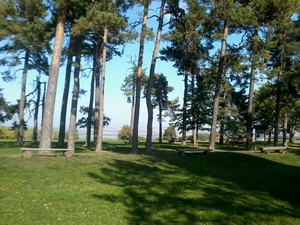 Hebe Bild 5 entlang der Bikemap-Route "Wanderung Paulinen- Karolinenturm 10-15" hervor