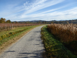Highlight 11 along the Bikemap route "Hotel Franz - Itinerario 1 - Valle del Preval"