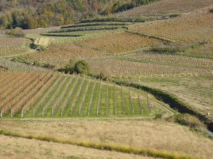 Highlight 9 along the Bikemap route "Hotel Franz - Itinerario 1 - Valle del Preval"