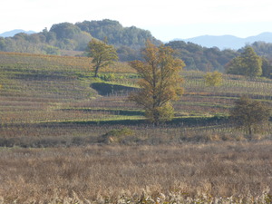 Highlight 12 along the Bikemap route "Hotel Franz - Itinerario 1 - Valle del Preval"