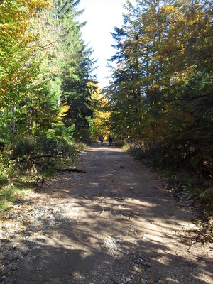 Highlight 15 along the Bikemap route "Oravita -Anina"