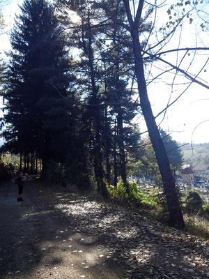 Highlight 23 along the Bikemap route "Oravita -Anina"