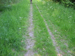 Highlight 4 along the Bikemap route "Ratzeburg über Schlagsdorf, Carlow und Demern über Dechow und Mechower See zurück"