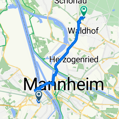 Daily Routine Mannheim