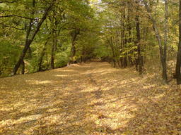 Highlight 3 along the Bikemap route "Iaşi - Hadîmbu - Domniţa - Leţcani - Breazu - Iaşi" Highlight 3 along the Bikemap route "Iaşi - Hadîmbu - Domniţa - Leţcani - Breazu - Iaşi"