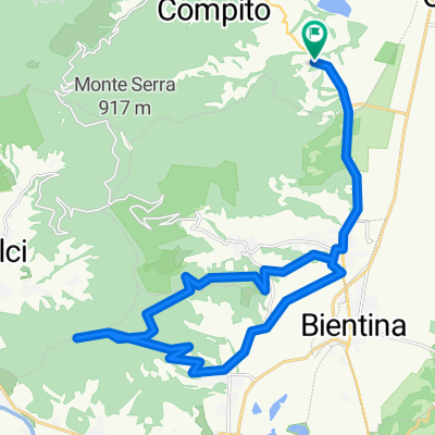 verruca