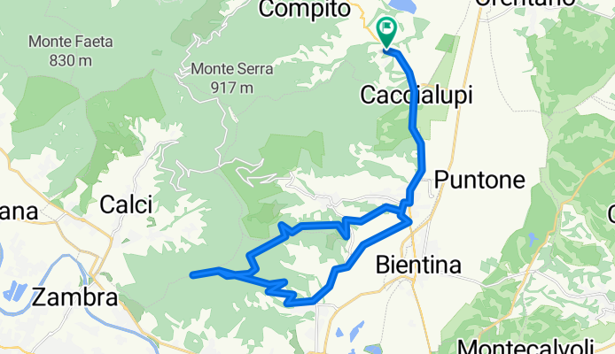 verruca