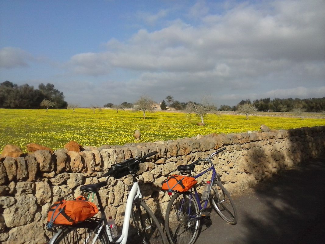Mallorca: Porreres-Vilafranca-puig de Bonany-Sant Joan-Porreres