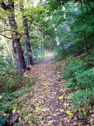 Hebe Bild 1 entlang der Bikemap-Route "Traseu MTB Hobby - Duatlon 2009" hervor