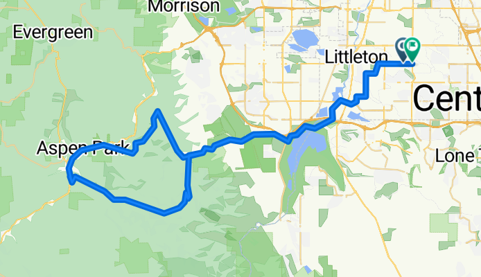 Conifer loop