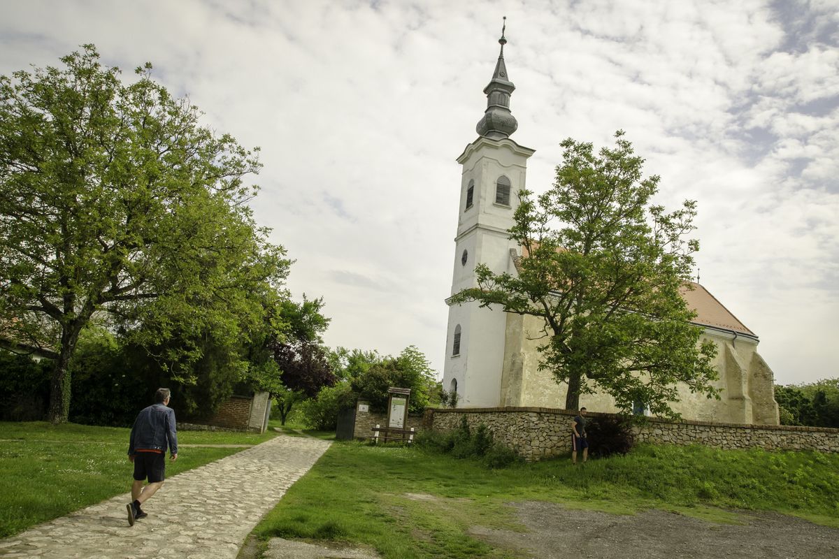 Villányi kör első nap I.