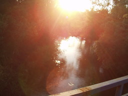 Highlight 8 along the Bikemap route "Gornji Vidusevac"