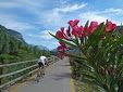 🚴‍♀️E*Bike🇮🇩  16.04.29. 4 Tag Weinstrasse - TRIENT