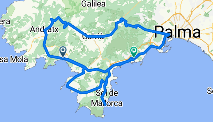 Malle_16_01_Peguera_Palma_ColdeVent_Calvia