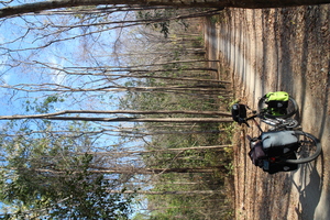 Destacado 15 en la ruta de Bikemap "Inthanon to ChiangMai "