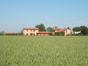 Hebe Bild 2 entlang der Bikemap-Route "Tra Argini, Ville e Campagna" hervor