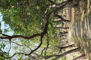 Destacado 18 en la ruta de Bikemap "ปั่นเรื่อยๆเปื่อยๆ"