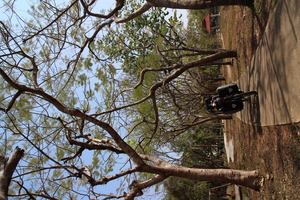 Destacado 15 en la ruta de Bikemap "ปั่นเรื่อยๆเปื่อยๆ"