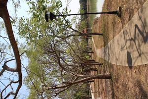 Destacado 14 en la ruta de Bikemap "ปั่นเรื่อยๆเปื่อยๆ"