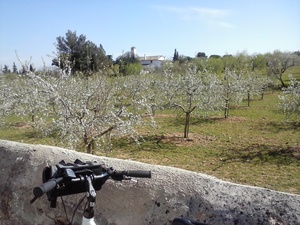 Hebe Bild 6 entlang der Bikemap-Route "Mallorca: Plaça d'Espanya (Palma)-Establiments-Calvià i tornar" hervor