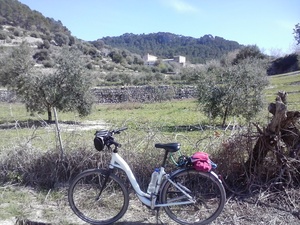 Hebe Bild 2 entlang der Bikemap-Route "Mallorca: Plaça d'Espanya (Palma)-Establiments-Calvià i tornar" hervor