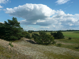 Highlight 20 along the Bikemap route "Lüneburger ELBETOUR"