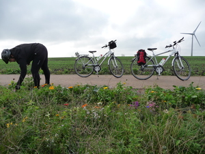 Highlight 4 along the Bikemap route "Fehmarn Ostküste 16.10.2013"
