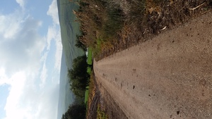 Highlight 1 along the Bikemap route "פארק המעיינות"